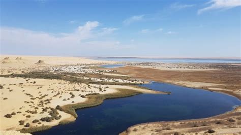 The El-Fayoum Oasis: An Enchanting Desert Paradise Where Ancient History Meets Serene Beauty!