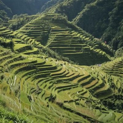 The Banaue Rice Terraces: A Stunning Masterpiece of Ancient Engineering and Breathtaking Natural Beauty!