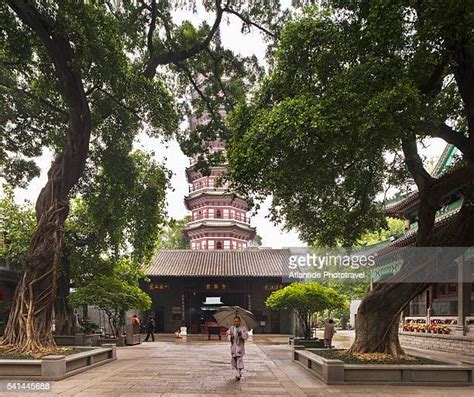 Six Banyan Trees Temple and Pagoda: Ancient Architecture Meets Spiritual Serenity!