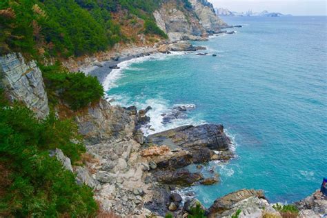 Taejongdae Park A Breathtaking Coastal Escape Offering Spectacular Views and Lush Hiking Trails!