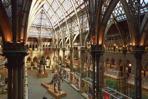 The Oxford University Museum of Natural History! A Journey Through Time and Evolutionary Wonders!