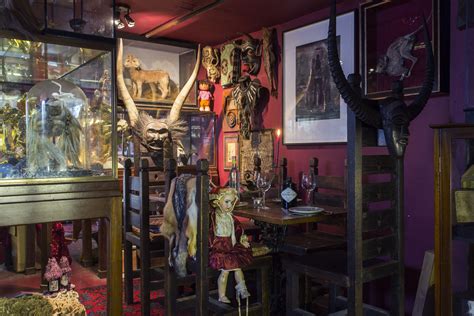 The Viktor Wynd Museum of Curiosities, Fine Art & Natural History: A Mind-Boggling Journey Through the Extraordinary!